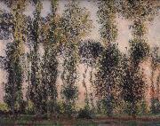 Claude Monet Poplars at Giverny oil